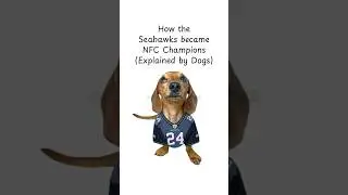 How the Seahawks became NFC Champions #seahawks #seattle #football #superbowl #playoffs