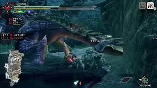 ジンオウガとマガイマガドを倒せ