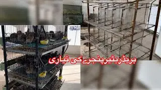 Breeders Quail Cage Making | Quail Batair Cage idea | Breeder Batair Cage Making