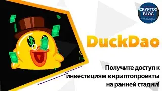 DuckDao - Получите доступ к инвестициям в криптопроекты на ранней стадии!