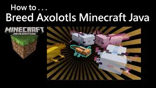 How to Breed Axolotls Minecraft Java