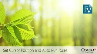 Set Cursor Position and Auto Run Rules: Qdabra Webinar 2020-07-16