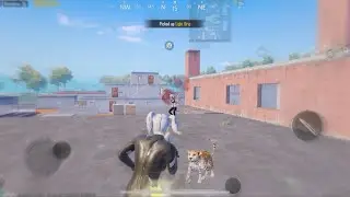 1v4 in sanhok