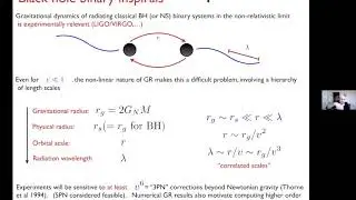 Walter Goldberger | Effective Field Theory for Black Hole Horizons