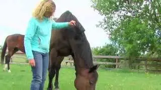 REAL HORSE RESCUES with Susan Kayne | Saratoga Clips | Saving Racehorses