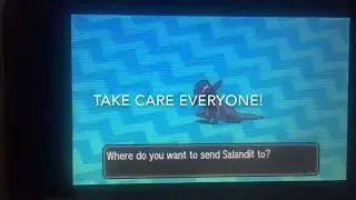 How to catch a Female Salandit in Sun & Moon