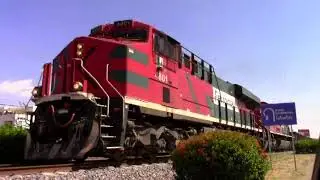 ferromex 4801