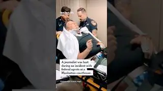 Journalist Injured in Chaotic Scene at New York Immigration Court