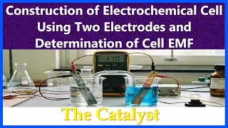 How to construct Electrochemical Cell Using Two Electrodes | Determination of Cell EMF | Potential