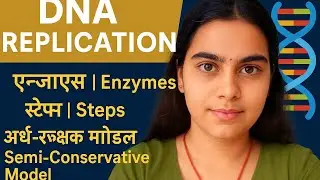 DNA Replication - Semi-conservative Nature, Enzymes Involved & Process