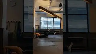 Pressing Deadbug (Against Wall)