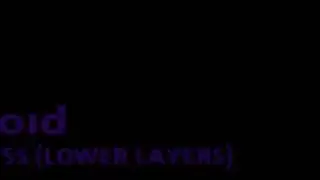 Terraria Calamity - Void but only the background instruments (old version)