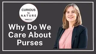 &ldquo;Why Do We Care About Purses