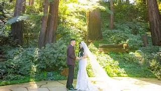 My twilight dream wedding come true🤎