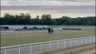 Cre Run Farm - Creating Runners - FIRST CLASSS gallops in France July 13, 2022