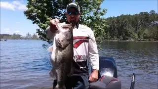 Sam Rayburn's Sealy Big Bass Splash 2016