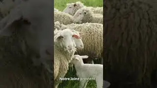 Mieux dormir en hiver commence par la bonne couette