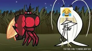 TerminalMontage Buzzwole😂