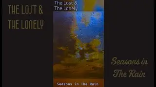 Seasons in the Rain by The Lost & The Lonely #loneliness #emotional #acceptance