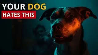 STOP Kissing Your Dog Right Now (This Is Why)!