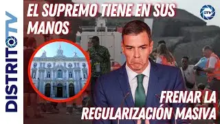 SÁNCHEZ SE DISPARA EN EL PIE🔴 SUPREMO TIENE EN SUS MANOS FRENAR LA REGULARIZACIÓN MASIVA DE ILEGALES