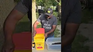 How I Make WORM TEA