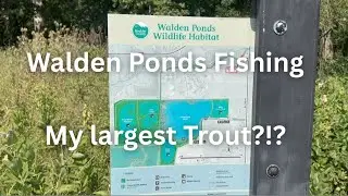 Walden Ponds