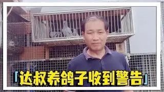 如果不整改到位就放飞你的种鸽，是谁对农村大叔发出这样的警告？我们一起来看看在怎么回事？【农村达叔】