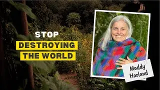 Food Forest Podcast: Maddy Harland – Lessons from 30 Years of Permaculture Magazine