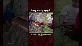 Water Coming Out Of Tree In Prakasam District | #srimedia #ytshort #ytviral #vov #trending #facts