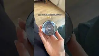 I looove it 🥰 #crystalvideo #animal #memories #gift #dog
