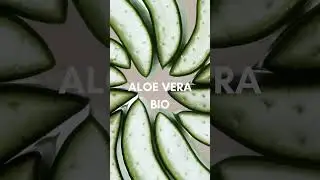 ✨COSMIC HAIRCARE ✨ SHAMPOING NOURRISSANT KARIT&Eacute;+COCO+ALOE VERA BIO - MADE IN FRANCE