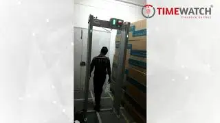 Door Frame Metal Detector DFMD 6-Zone (TW-D2101)