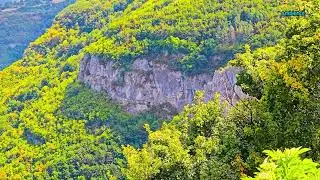 In Harmony with Pure Nature: Contemplation for Consciousness and the Soul FHD 24/7