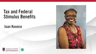 Tax and Federal Stimulus Benefits