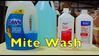 Alcohol vs Soapy Water for Mite Wash
