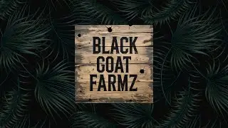 UNBOXING BLACK GOAT FARMZ | GMO & CHEM TYPE III ?!