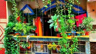 How to create a Dream Balcony| Urban greenery| Fairy Garden at home |My favourite place in the house