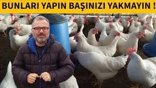 TAVUKLARINIZDA TÜY YOLMASI KIÇ ÇIKMASI VE BİT GÖRMEK İSTEMİYORSANIZ BU VİDEOYU İZLEYİN !