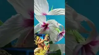 ₚₒᵤᵣₒᵤₜₜₕₑₕₐₚₚᵢₙₑₛₛ-ᵣᵢGₕₜ
