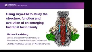 Using cryo-EM to study the structure, function and evolution of an emerging bacterial toxin family