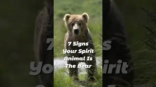 Bear Spirit Animal: 7 Signs They're Yours #bear #bearspiritanimal #beartotem #shorts