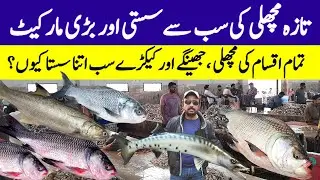 Biggest Fish Market in Karachi - Pakistan's Biggest Fish Market Fishery - Fishery Wholesale Market.