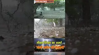 UP तेज बारिश आंधी तूफान का अलर्ट | उत्तर प्रदेश में मौसम विभाग की चेतावनी, अप Weather Update
