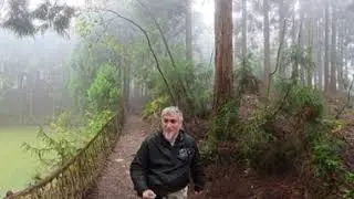 Невероятный и таинственный лес обезьян. Китай 360&deg; 8K.