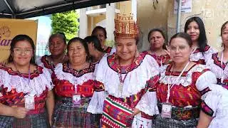 Lucianitas Productora de Hongos Ostra