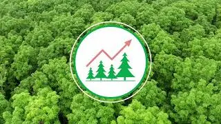 Plantaciones Forestales Comerciales