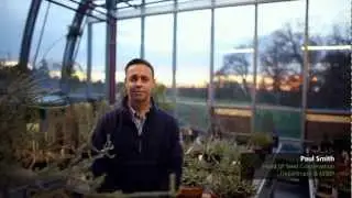 Beyond the Gardens: The Millennium Seed Bank Partnership (Music by Keith Kenniff)