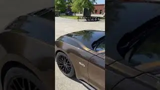 Ford Mustang GT vinyl-wrapped in KPMF copper-black starlight