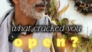 What cracked you open? with Francisco Del Olmo Diaz | somabeUNITY
